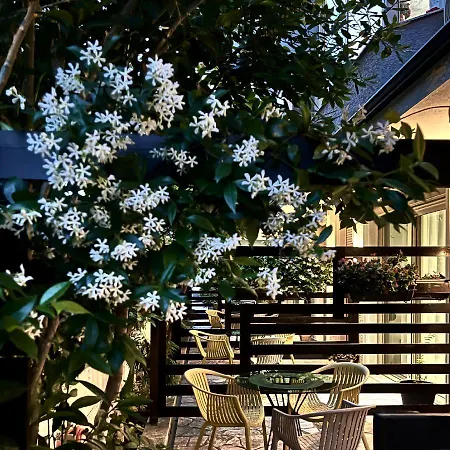 House Of A&arwen Sarande